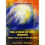 Cosa ci dicono gli esseri elementari - NUOVA EDIZIONE