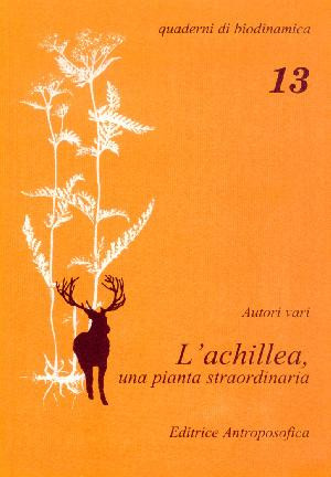 L'Achillea, una pianta straordinaria