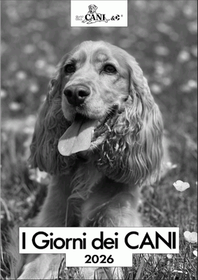 I giorni dei cani