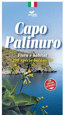 Capo Palinuro