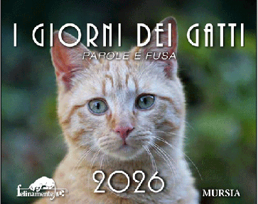 I giorni dei gatti