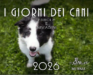 I giorni dei cani