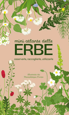 Mini atlante delle erbe
