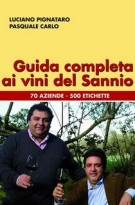 Guida completa ai vini del Sannio