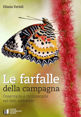 Le farfalle della campagna