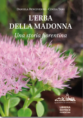 L’erba della madonna
