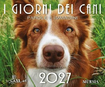 I giorni dei cani