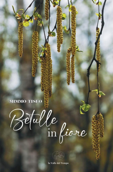 Betulle in fiore