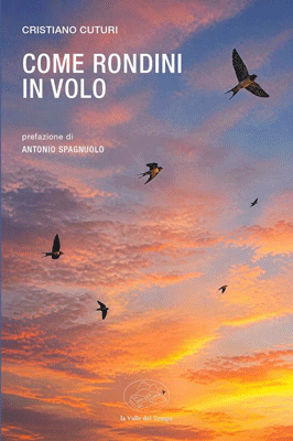 Come rondini in volo