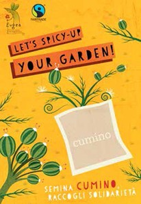 Let’s spicy-up your garden!