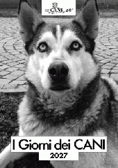 I giorni dei cani