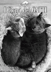 I giorni dei gatti