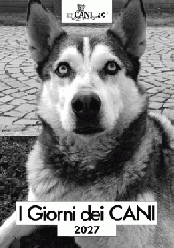 I giorni dei cani
