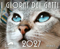 I giorni dei gatti