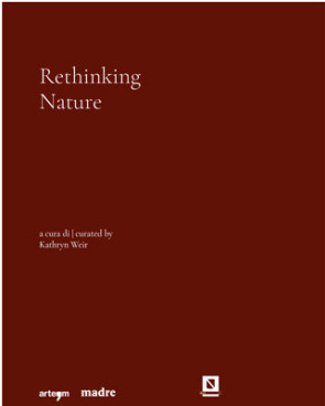 Rethinking Nature