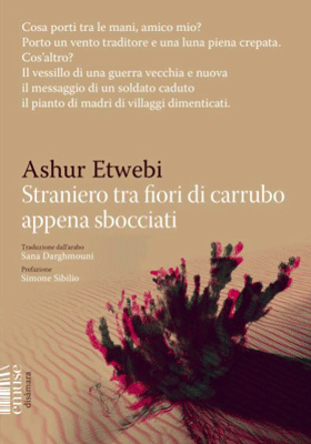 Straniero tra fiori di carrubo appena sbocciati