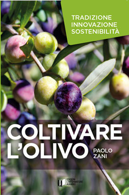 Coltivare l'olivo