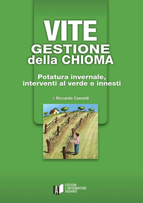 Vite. Gestione della chioma