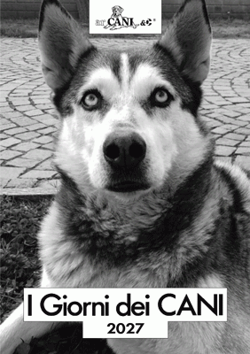 I giorni dei cani