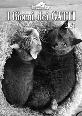 I giorni dei gatti