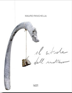 Mauro Panichella
