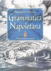 Grammatica Napoletana