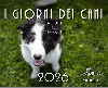 I giorni dei cani