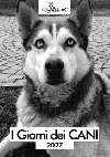 I giorni dei cani