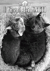 I giorni dei gatti