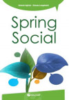 Spring social